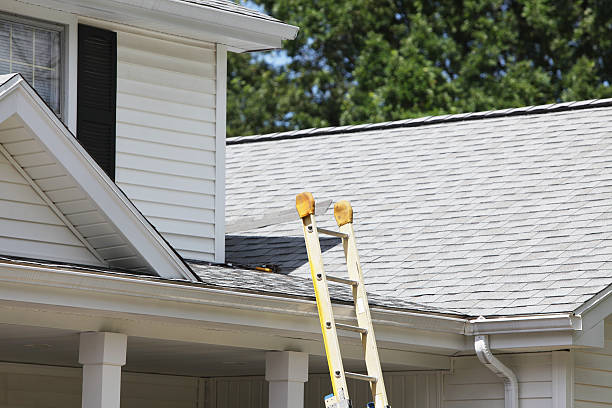 Best Historical Building Siding Restoration  in Mound Bayou, MS